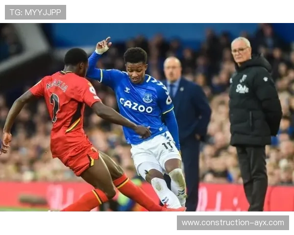 法国足球甲级联赛的荣耀历史与豪门争霸全景解析对欧洲足坛格局影响探讨