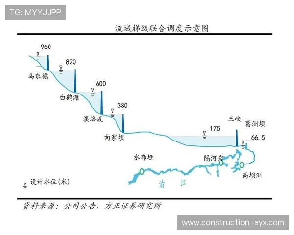 尼斯俱乐部发展历程与未来战略全景解析 尼斯俱乐部发展历程与未来战略全景解析